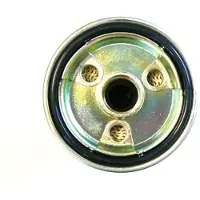 MOTAQUIP VFF387 Brandstoffilter