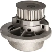 Ltd Edition -1334077 Waterpomp