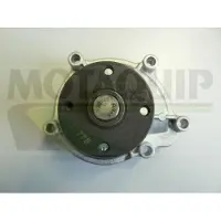 MOTAQUIP VWP853 Waterpomp