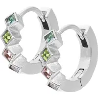 Ixxxi Oorringen Blossom | Zilver