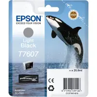 Epson T7607 (C13T76074010) Inktcartridge Licht-zwart