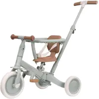 Little Dutch Driewieler/Fietsje 4-in-1 Green/Green Leaf