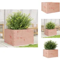 vidaXL Plantenbak 70x70x45,5 cm massief douglashout