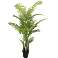 Buitengewoon Boet Kunst Areca palm - 190 cm