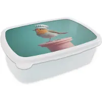 MuchoWow Broodtrommel Wit - Lunchbox Roodborstje - Vogel - Koksmuts - Sokkel - Brooddoos 18x12x6 cm - Brood lunch box - Broodtrommels voor kinderen en volwassenen