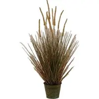 Buitengewoon Boet Kunst Stekelkamgras in pot 90 cm - bruin-groen