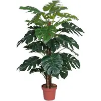 Buitengewoon Boet Kunst Monstera - 135 cm