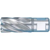 Würth - HSS kernboor - HSS kernboor x 1 st Lengte 64.2 mm