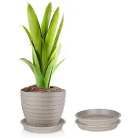 Juypal Hogar Juypal Plantenschotel - 2x - taupe - kunststof - Dia 15 cm - onderschotel/opvangschaal