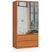 Akord Kledingkast S90 met Spiegel 2 Deuren en 2 Lades / Furniture Factory / Els / 90 x 180 x 51 cm