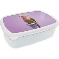 MuchoWow Broodtrommel Wit - Lunchbox Papegaai - Koksmuts - Pilaar - Vogel - Brooddoos 18x12x6 cm - Brood lunch box - Broodtrommels voor kinderen en volwassenen