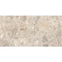 Valence Technology Solmara vloertegel 60x120cm grijsbruin gerectificeerd