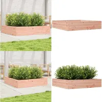 vidaXL Plantenbak 110x110x23 cm massief douglashout