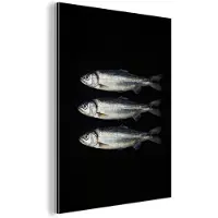 MuchoWow Aluminium schilderij 30x40 cm - Wanddecoratie metaal - Haring - Vissen - Zwart - Metalen muurdecoratie woonkamer - Decoratie industrieel - Foto op dibond - Industriële accessoires slaapkamer