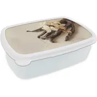 MuchoWow Broodtrommel Wit - Lunchbox Vanille - Bloemen - Beige - Brooddoos 18x12x6 cm - Brood lunch box - Broodtrommels voor kinderen en volwassenen