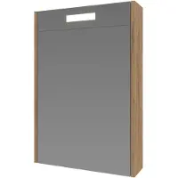 Ink Spiegelkast proline premium met houten deur geïntrigeerd led verlichting 50x14x60 cm whisky oak