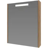 Ink Spiegelkast proline premium met houten deur geïntrigeerd led verlichting 60x14x60 cm whisky oak