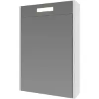 Ink Spiegelkast proline premium met houten deur geïntrigeerd led verlichting 50x14x60 cm ice white