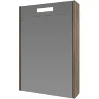 Ink Spiegelkast proline premium met houten deur geïntrigeerd led verlichting 50x14x60 cm scotch oak