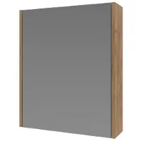 Ink Spiegelkast proline comfort met houten deur 50x14x60 cm whisky oak