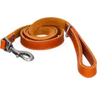 Spotted! Pro Hondenriem - 1.8 x 130 cm - Leer - Trainingslijn - Hondenlijn - Looplijn voor Honden - Cognac