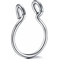 Charme Bijoux Fake- Neusklem- Septum- Zilverkleurig 12mm -