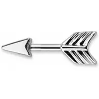 Charme Bijoux Pijl oorbel- Zilverkleur 1.5 cm -