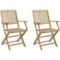 The Living Store Tuinstoel - Tuinstoelen - Tuinstoel - Tuin Stoel - Tuinstoelen 2 st inklapbaar 58x54,5x90 cm massief acaciahout