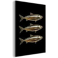 MuchoWow Aluminium schilderij 30x40 cm - Wanddecoratie metaal - Vissen - Goud - Zwart - Metalen muurdecoratie woonkamer - Decoratie industrieel - Foto op dibond - Industriële accessoires slaapkamer