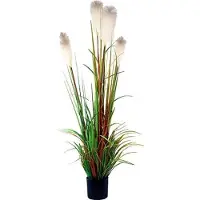 Buitengewoon Boet Kunst Riet gras in pot 150 cm - wit-groen-bruin
