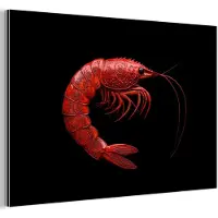 MuchoWow Aluminium schilderij 180x120 cm - Wanddecoratie metaal - Garnaal - Rood - Dieren - Metalen muurdecoratie woonkamer - Decoratie industrieel - Foto op dibond - Industriële accessoires slaapkamer
