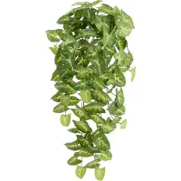 Maxifleur Kunstplanten Syngonium Arrow Kunst Hangplant 60cm