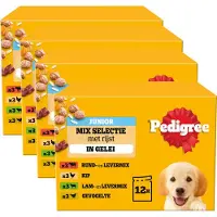 Pedigree Junior Hondenvoer - Mix Selectie in gelei - Maaltijdzakjes - 4x 12x100g