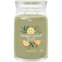 Yankee candle sage en citrus signature large jar |
