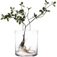 ERNST Vaas Met Deksel H28 Cm - Vazen Glas Clear - 364332