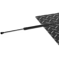 RIDEX 219G1324 Gasveer achterklep