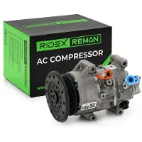 RIDEX 447K0047R Aircopomp