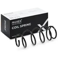 RIDEX 188C1231 Chassisveer
