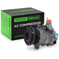 RIDEX 447K0729R Aircopomp