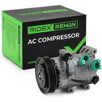 RIDEX 447K1009R Aircopomp