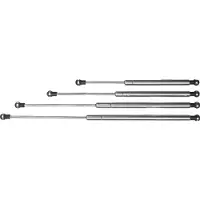 VETUS Gas Strut Zilver 240-380 mm