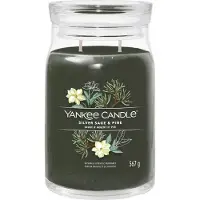 Yankee candle silver sage & pine signature medium jar