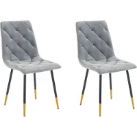 Notio Living Eva-Stoel - Set van 2 - Grijs Metaal