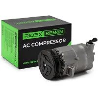 RIDEX 447K0813R Aircopomp