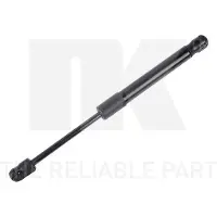 NK 11047049 Gasveer achterklep