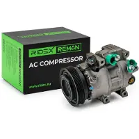 RIDEX 447K0072R Aircopomp