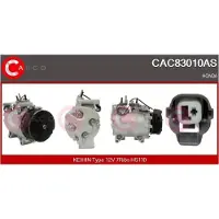 Casco CAC86059GS Aircopomp