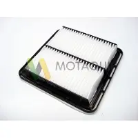 MOTAQUIP LVFA1479 Luchtfilter