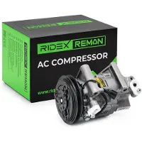 RIDEX 447K0517R Aircopomp