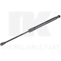 NK 11015012 Gasveer achterklep